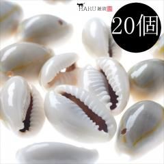 ѡ  饤ȥ쥤 20ĥå ͭ 㡼 ӡ 졼 ܥ꡼ ץ졼     ԥ  ۥ ꡼ ѡ