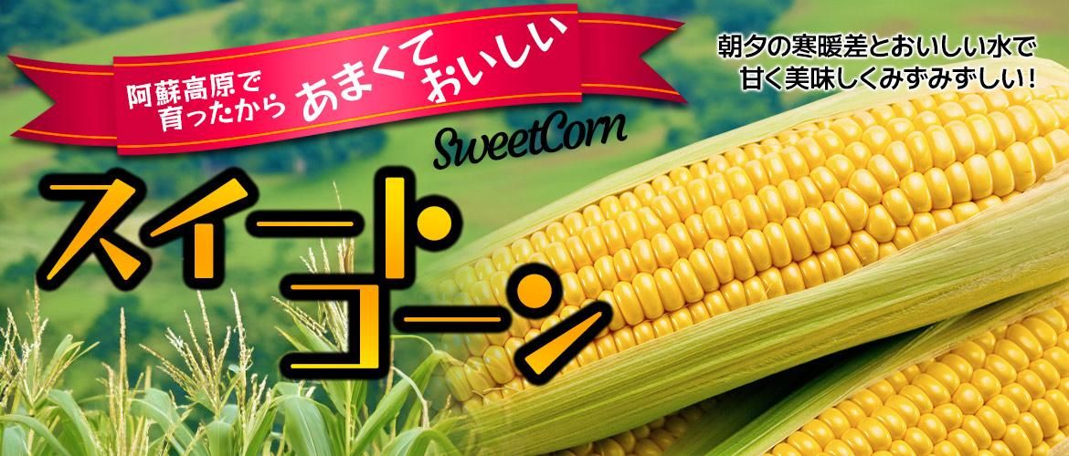 ɤ̣⸶ȥ