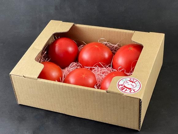 王様トマト(麗月)1kg - 熊本 阿蘇のお取り寄せグルメ、特産品 王様トマト(麗月)1kg - 熊本 阿蘇のお取り寄せグルメ、特産品