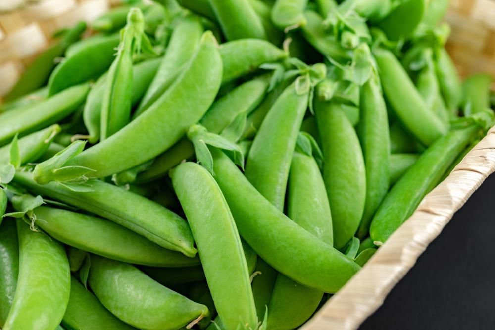 スナップエンドウ 500g・1kg - 熊本 阿蘇の特産品通販・お中元お歳暮