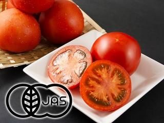 <img class='new_mark_img1' src='https://img.shop-pro.jp/img/new/icons5.gif' style='border:none;display:inline;margin:0px;padding:0px;width:auto;' />JASǧ ͭȥޥ--