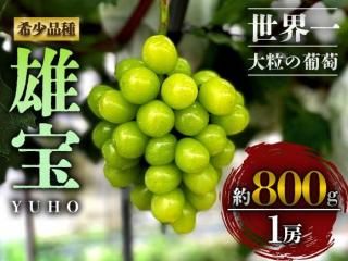 <img class='new_mark_img1' src='https://img.shop-pro.jp/img/new/icons5.gif' style='border:none;display:inline;margin:0px;padding:0px;width:auto;' />ͽͺ 椦ۤ