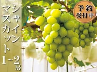 <img class='new_mark_img1' src='https://img.shop-pro.jp/img/new/icons5.gif' style='border:none;display:inline;margin:0px;padding:0px;width:auto;' />㥤ޥå 