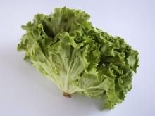 ꥢ쥿 200g300g