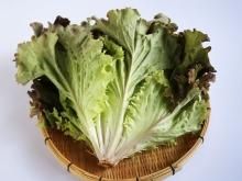 ꥢ֥쥿 200g300g