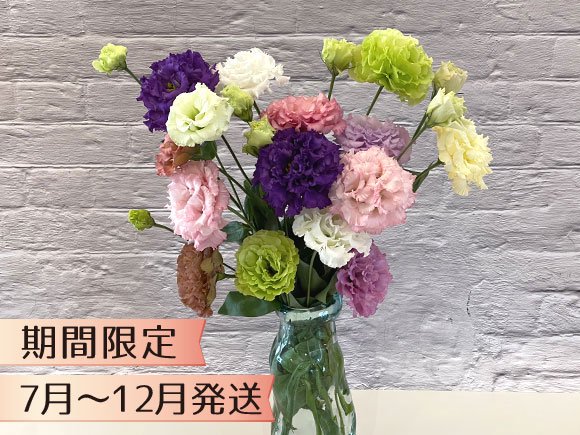 トルコキキョウの花束 熊本 阿蘇の特産品通販 お中元お歳暮 ネットショップasomo