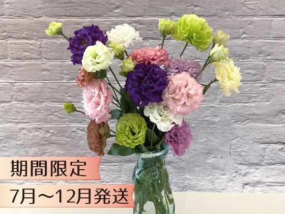 トルコキキョウの花束 熊本 阿蘇の特産品通販 お中元お歳暮 ネットショップasomo トルコキキョウの花束 熊本 阿蘇の特産品通販 お中元お歳暮 ネットショップasomo