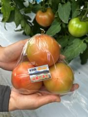 簤ɻϼȥޥ450500g