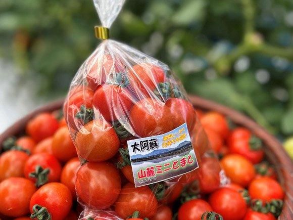 大阿蘇山麓ミニトマト400g - 熊本 阿蘇のお取り寄せグルメ、特産