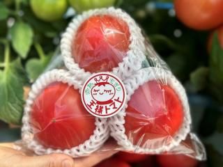 ֽϤ⤮βͥȥޥ450g