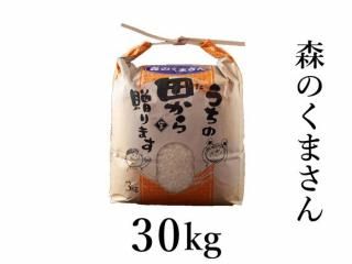R6ǯΤޤ30kg