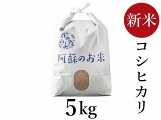 <img class='new_mark_img1' src='https://img.shop-pro.jp/img/new/icons5.gif' style='border:none;display:inline;margin:0px;padding:0px;width:auto;' />R6ǯ ҥ 5kg