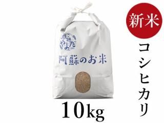 <img class='new_mark_img1' src='https://img.shop-pro.jp/img/new/icons5.gif' style='border:none;display:inline;margin:0px;padding:0px;width:auto;' />R6ǯ ҥ 10kg