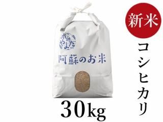 <img class='new_mark_img1' src='https://img.shop-pro.jp/img/new/icons5.gif' style='border:none;display:inline;margin:0px;padding:0px;width:auto;' />R6ǯ ҥ 30kg