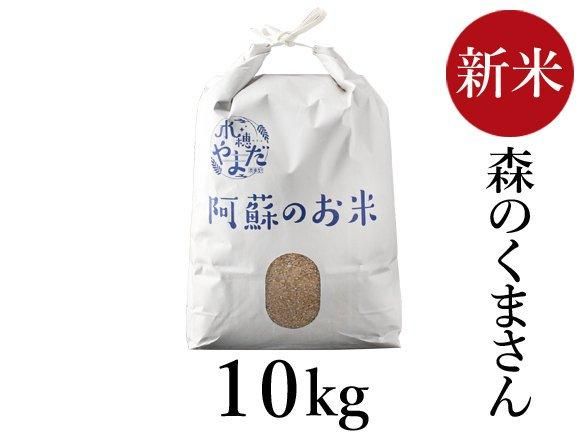 R6年産 森のくまさん 10kg - 熊本 阿蘇のお取り寄せグルメ、特産 R6年産 森のくまさん 10kg - 熊本 阿蘇のお取り寄せグルメ、特産