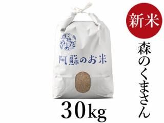<img class='new_mark_img1' src='https://img.shop-pro.jp/img/new/icons5.gif' style='border:none;display:inline;margin:0px;padding:0px;width:auto;' />R6ǯ Τޤ 30kg