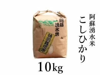 <img class='new_mark_img1' src='https://img.shop-pro.jp/img/new/icons5.gif' style='border:none;display:inline;margin:0px;padding:0px;width:auto;' />R6ǯ Ҥ 10kg