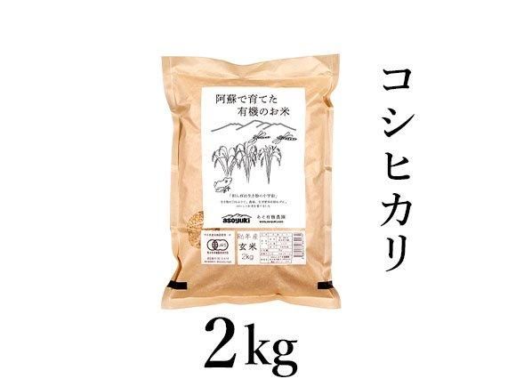 ごろへい米（農家が育てた減農栽培のこだわり米コシヒカリ) 新米