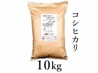 <img class='new_mark_img1' src='https://img.shop-pro.jp/img/new/icons5.gif' style='border:none;display:inline;margin:0px;padding:0px;width:auto;' />6ǯ ɤǰƤͭΤ(ҥ 10kg
