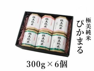 R6ǯ 300g6(Ԥޤ)