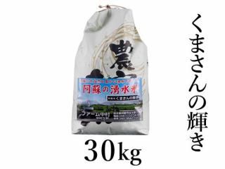 R6ǯ ޤε 30kg
