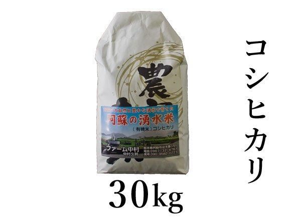 コシヒカリ30kg - カーペット/マット/ラグ コシヒカリ30kg - カーペット/マット/ラグ