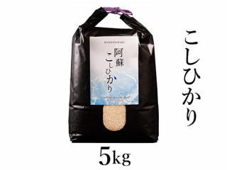 <img class='new_mark_img1' src='https://img.shop-pro.jp/img/new/icons5.gif' style='border:none;display:inline;margin:0px;padding:0px;width:auto;' />ɰεܤ 6ǯ ֥ҥ  5kg