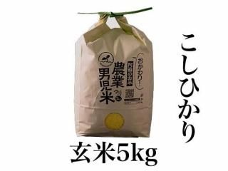 <img class='new_mark_img1' src='https://img.shop-pro.jp/img/new/icons5.gif' style='border:none;display:inline;margin:0px;padding:0px;width:auto;' />ͽR7ǯ ˻ ҥ5kgʸơ
