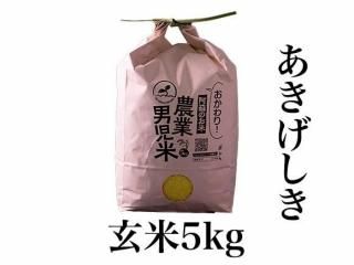 <img class='new_mark_img1' src='https://img.shop-pro.jp/img/new/icons5.gif' style='border:none;display:inline;margin:0px;padding:0px;width:auto;' />ͽR7ǯ ˻ 5kgʸơ