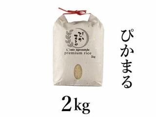 <img class='new_mark_img1' src='https://img.shop-pro.jp/img/new/icons5.gif' style='border:none;display:inline;margin:0px;padding:0px;width:auto;' />ͽR7ǯ Ԥޤ 2kg