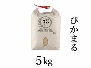 <img class='new_mark_img1' src='https://img.shop-pro.jp/img/new/icons5.gif' style='border:none;display:inline;margin:0px;padding:0px;width:auto;' />ͽR7ǯ Ԥޤ 5kg