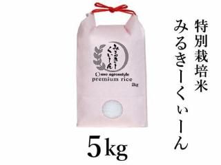 <img class='new_mark_img1' src='https://img.shop-pro.jp/img/new/icons5.gif' style='border:none;display:inline;margin:0px;padding:0px;width:auto;' />ͽR7ǯ ̺Ƥߤ뤭5kg