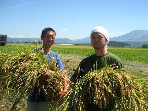 予約】R7年産 無農薬栽培米ひのひかり 2kg - 熊本 阿蘇のお