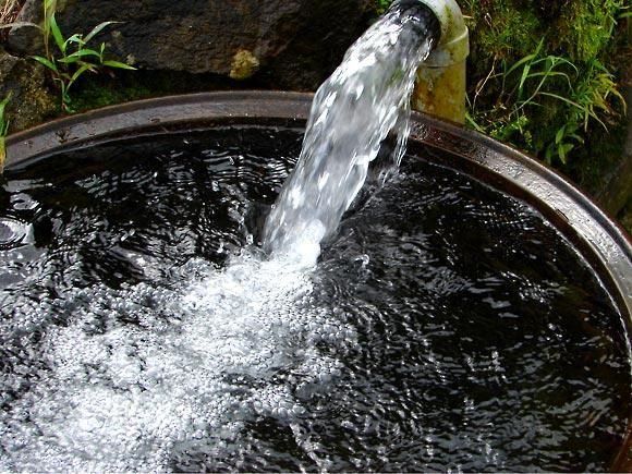 乾燥にがだま　熊　御守り　魔除けなど　2個セット　54g 乾燥にがだま 熊 御守り 魔除けなど 2個セット 54g 乾燥に