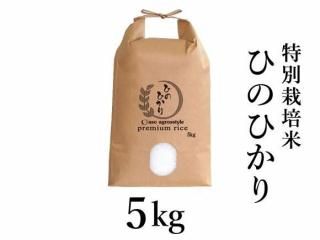 <img class='new_mark_img1' src='https://img.shop-pro.jp/img/new/icons5.gif' style='border:none;display:inline;margin:0px;padding:0px;width:auto;' />ͽR7ǯ ̺ƤҤΤҤ 5kg