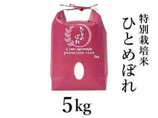 <img class='new_mark_img1' src='https://img.shop-pro.jp/img/new/icons5.gif' style='border:none;display:inline;margin:0px;padding:0px;width:auto;' />ͽR7ǯ ̺ƤҤȤܤ졡5kg