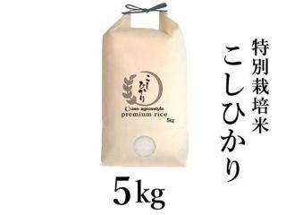 <img class='new_mark_img1' src='https://img.shop-pro.jp/img/new/icons5.gif' style='border:none;display:inline;margin:0px;padding:0px;width:auto;' />ͽR7ǯ ̺ƤҤꡡ5kg