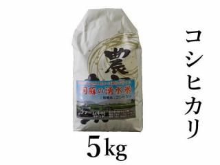 <img class='new_mark_img1' src='https://img.shop-pro.jp/img/new/icons5.gif' style='border:none;display:inline;margin:0px;padding:0px;width:auto;' />ͽR7ǯ ҥ 5kg