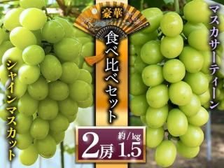 <img class='new_mark_img1' src='https://img.shop-pro.jp/img/new/icons5.gif' style='border:none;display:inline;margin:0px;padding:0px;width:auto;' />㥤ޥåȡޥƥ󿩤٥å