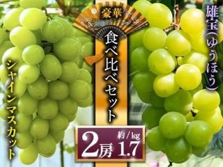 <img class='new_mark_img1' src='https://img.shop-pro.jp/img/new/icons5.gif' style='border:none;display:inline;margin:0px;padding:0px;width:auto;' />㥤ޥåȡͺ׿٥å