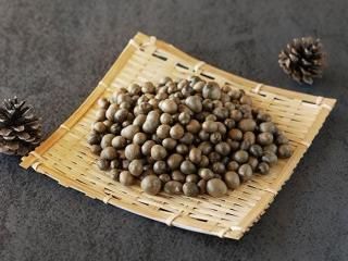 <img class='new_mark_img1' src='https://img.shop-pro.jp/img/new/icons5.gif' style='border:none;display:inline;margin:0px;padding:0px;width:auto;' />ɤηäߡफμ