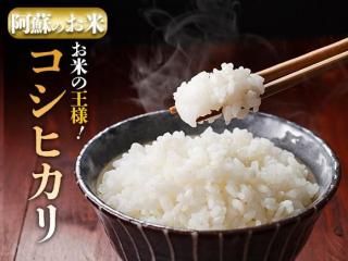 <img class='new_mark_img1' src='https://img.shop-pro.jp/img/new/icons5.gif' style='border:none;display:inline;margin:0px;padding:0px;width:auto;' />R7ǯ�� ���ɤηä� �����ҥ��� 5kg