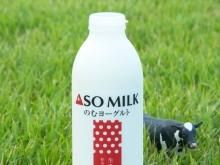 Τ衼800ml