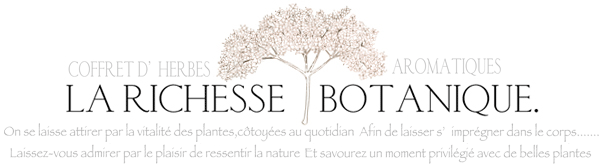 LA RICHESSE BOTANIQUE.