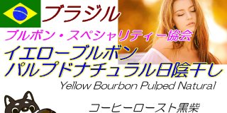 <img class='new_mark_img1' src='https://img.shop-pro.jp/img/new/icons1.gif' style='border:none;display:inline;margin:0px;padding:0px;width:auto;' />Brazil Yellow Bourbon Pulped Natural