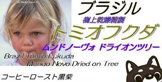 Tomio Fukuda Mundo Novo Dried on Tree