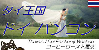 Thailand Doi Pankong Washed