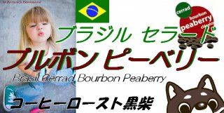Brazil Bourbon Peaberry