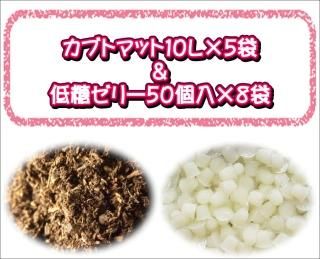 ネットショップBuBu ネットショップBuBu