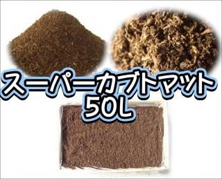 ネットショップBuBu ネットショップBuBu
